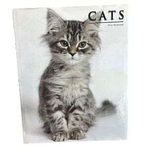 Cats By Alice Buckland 2009 Oversized Hardback Book 15” X 12”